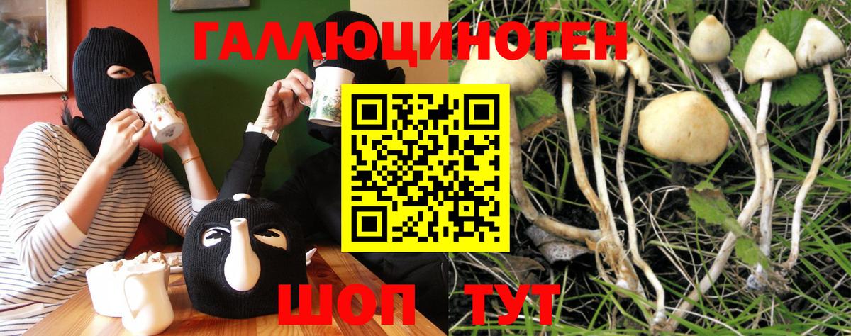 Новосибирск  Галлюциногенные грибы мухоморы  Вход с VPN 