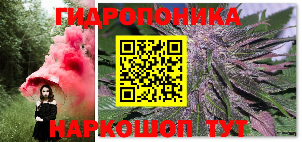 Марихуана OG Kush Новосибирск